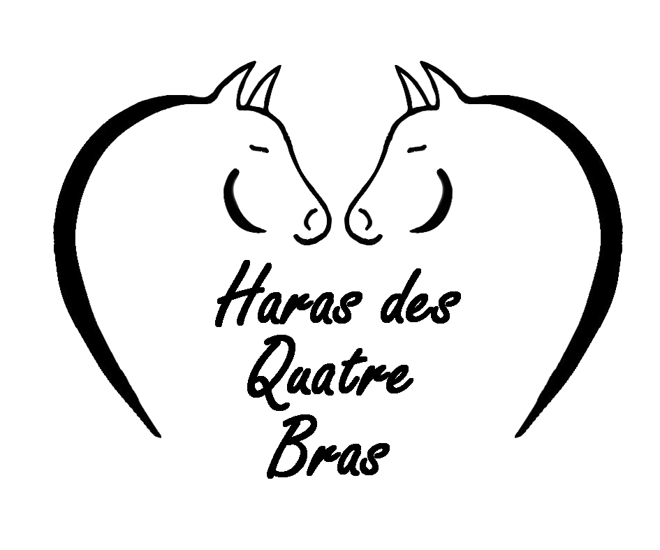 logo Haras des quatre bras