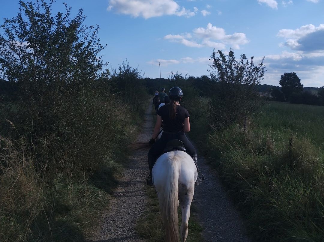 Haras des quatre bras